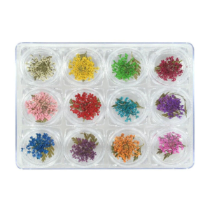 MIA SECRET Dry Flowers - DF-01