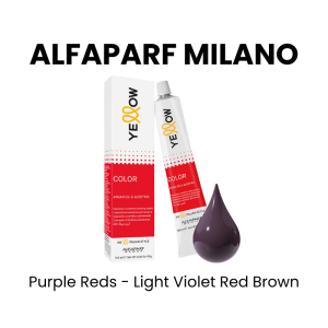 ALFAPARF MILANO Yellow Permanent Color, 3oz - 4.66 - Reds - Medium Intense Red Brown