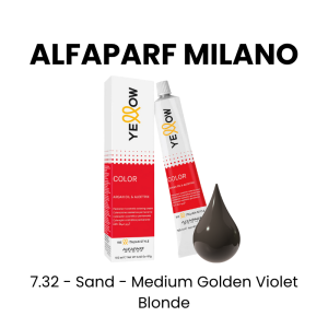 SALERM VISON Permanent Coloring Cream, 2.3oz - 8.73 - Golden Brown - Light Blond