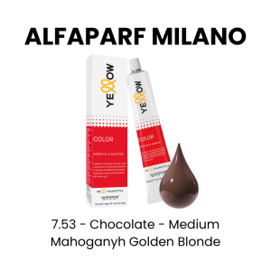 SALERM VISON Permanent Coloring Cream, 2.3oz - 6.75 - Mahogany Brown - Dark Blond Brown