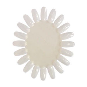 DL PROFESSIONAL Nail Polish Palette Natural - DL-C234