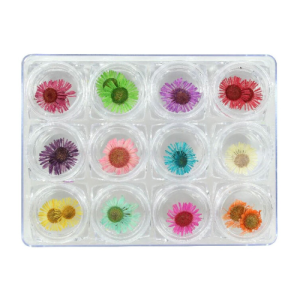 MIA SECRET Dry Flowers - DF-02