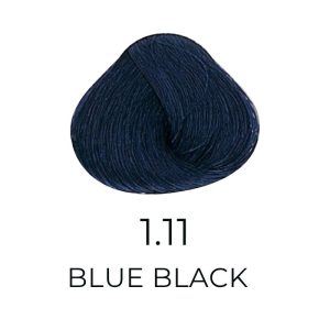 ALFAPARF MILANO Evolution of The Hair Color, 2.05oz - 1.11 - Ash - Blue Black