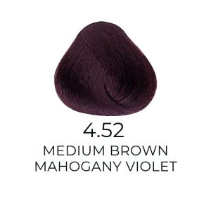 ALFAPARF MILANO Evolution of The Hair Color, 2.05oz - 4.52 - Medium Mahogany Violet Brown
