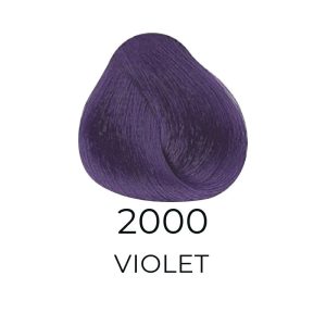 ALFAPARF MILANO Evolution of The Hair Color, 2.05oz - 2000 - Correctors - Violet